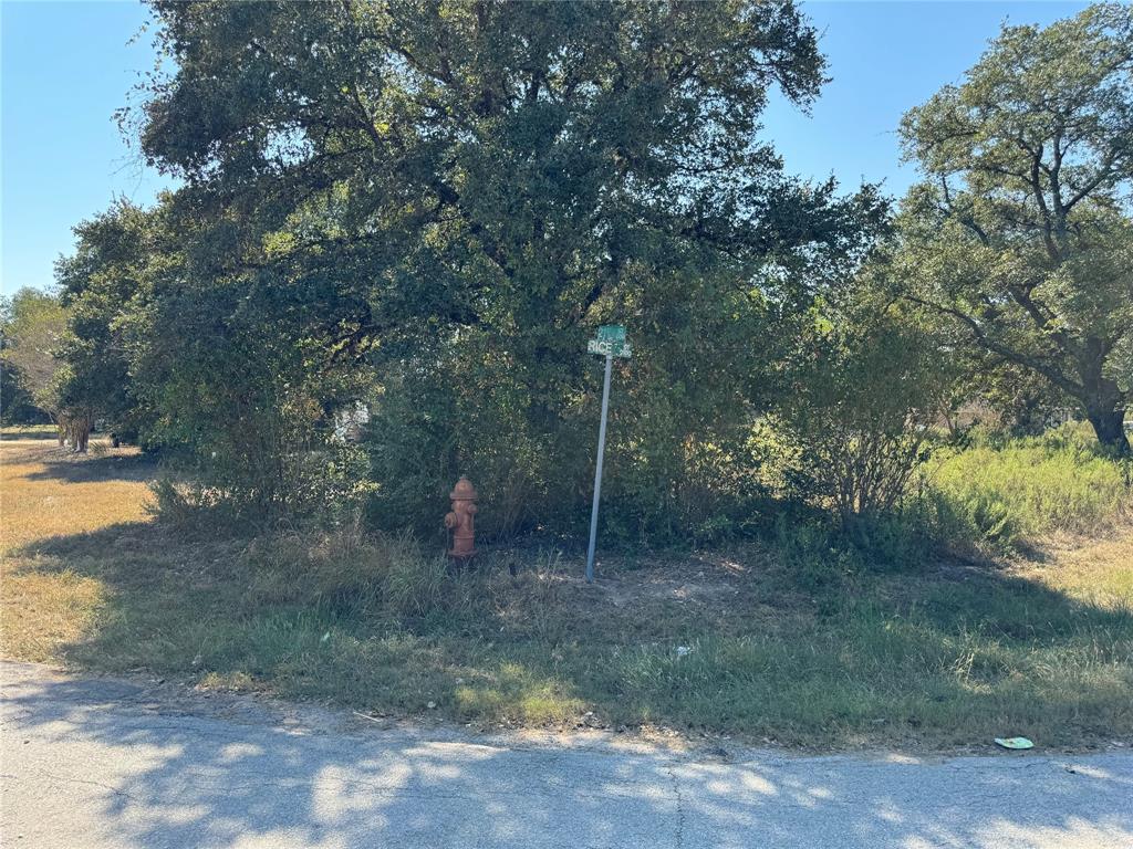 500 21st Street, Hempstead, Texas image 2