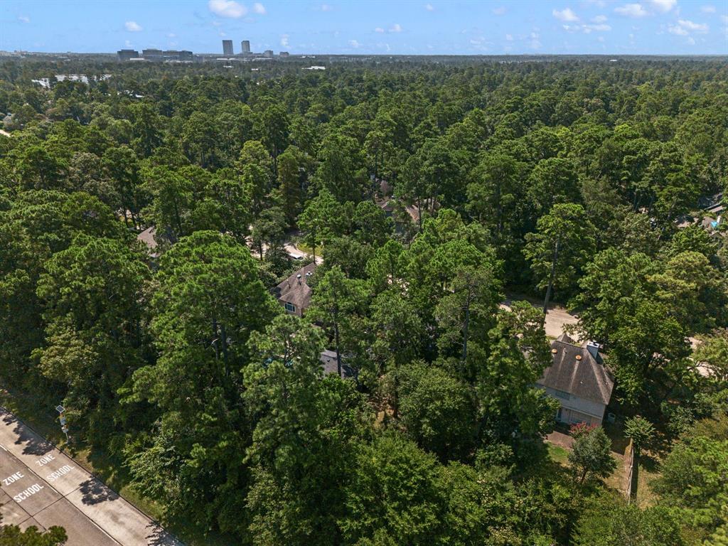 143 N Mill Trace Drive, The Woodlands, Texas image 46
