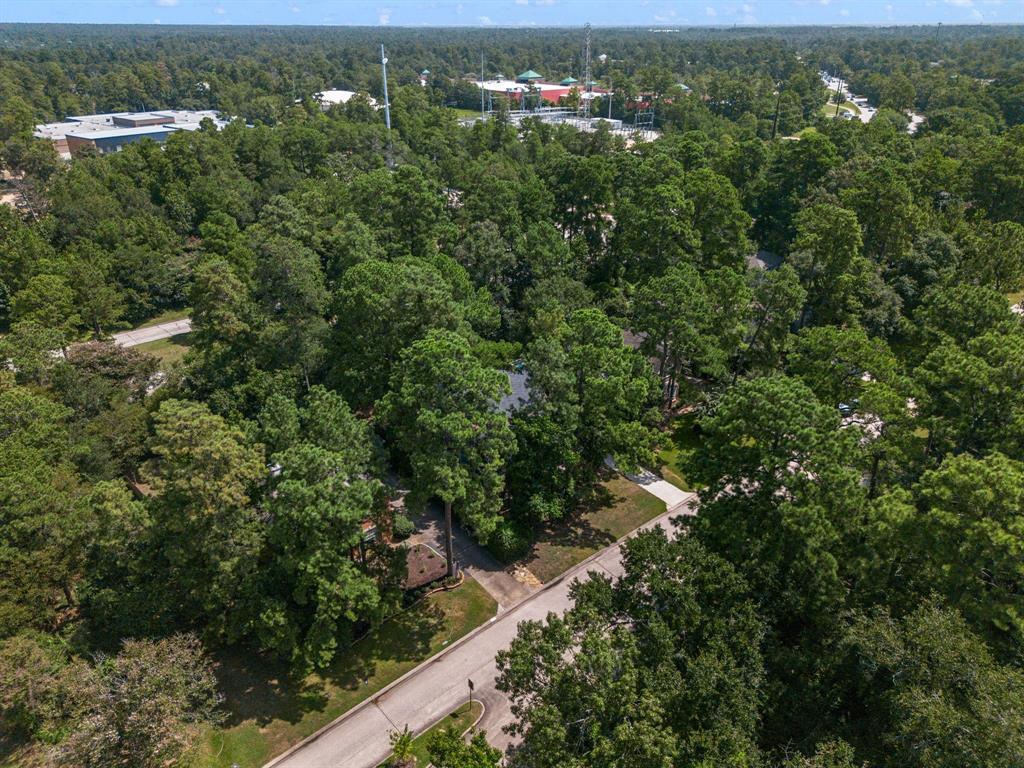 143 N Mill Trace Drive, The Woodlands, Texas image 48