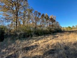 TBD Cr 4200, Pennington, Texas image 17