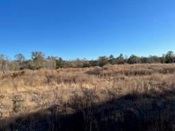 TBD Cr 4200, Pennington, Texas image 16