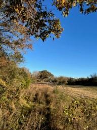 TBD Cr 4200, Pennington, Texas image 39