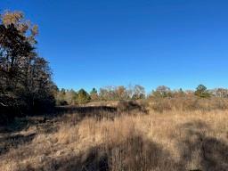 TBD Cr 4200, Pennington, Texas image 15