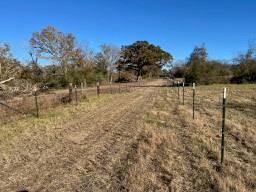 TBD Cr 4200, Pennington, Texas image 11