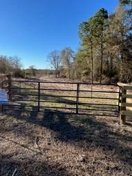 TBD Cr 4200, Pennington, Texas image 9