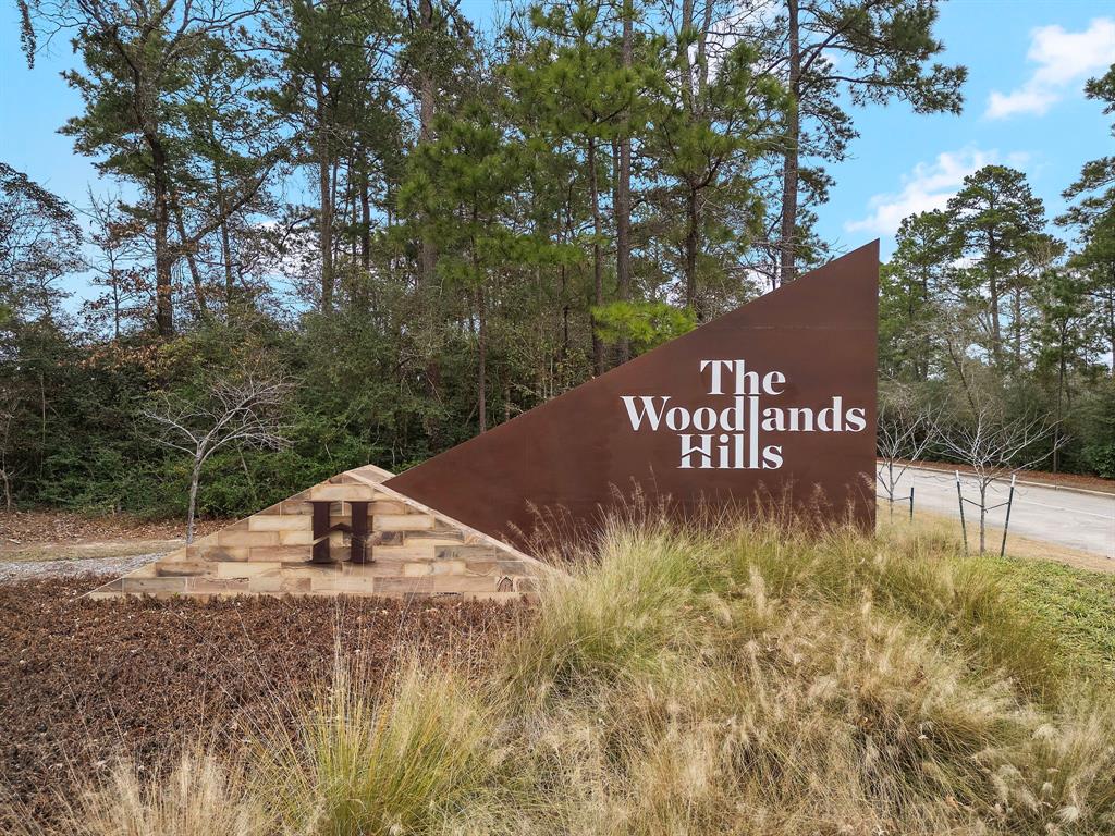 219 Garden Rose Trail, Conroe, Texas image 28