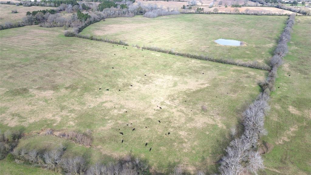 TBD E State Highway 7, Crockett, Texas image 11