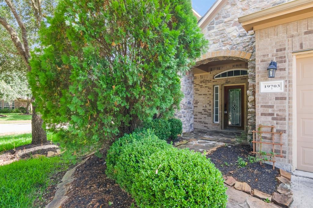 19703 Cristiwood Court
