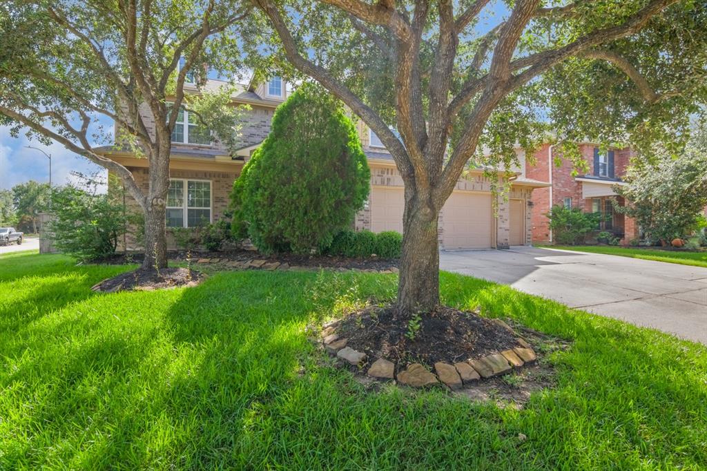 19703 Cristiwood Court