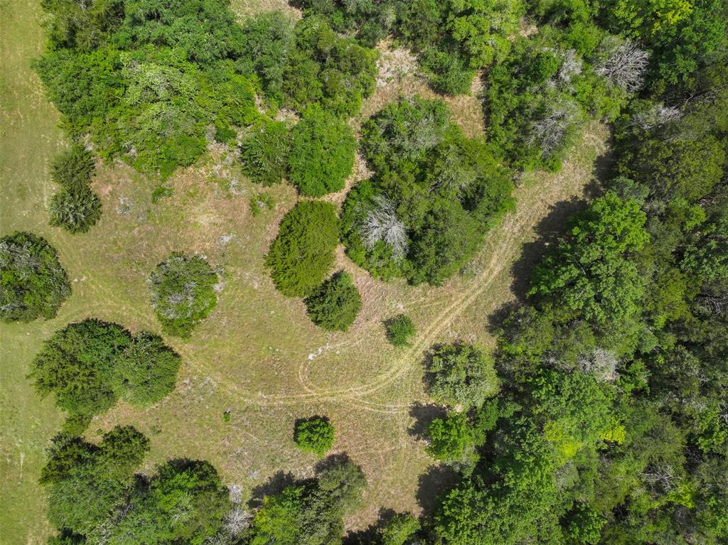 4601 Fm 390, Brenham, Texas image 3