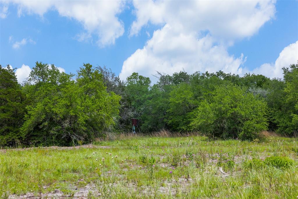 4601 Fm 390, Brenham, Texas image 10