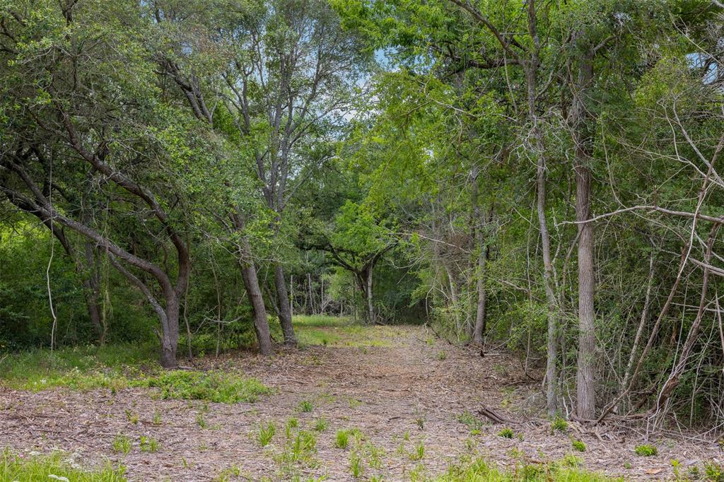 4601 Fm 390, Brenham, Texas image 12