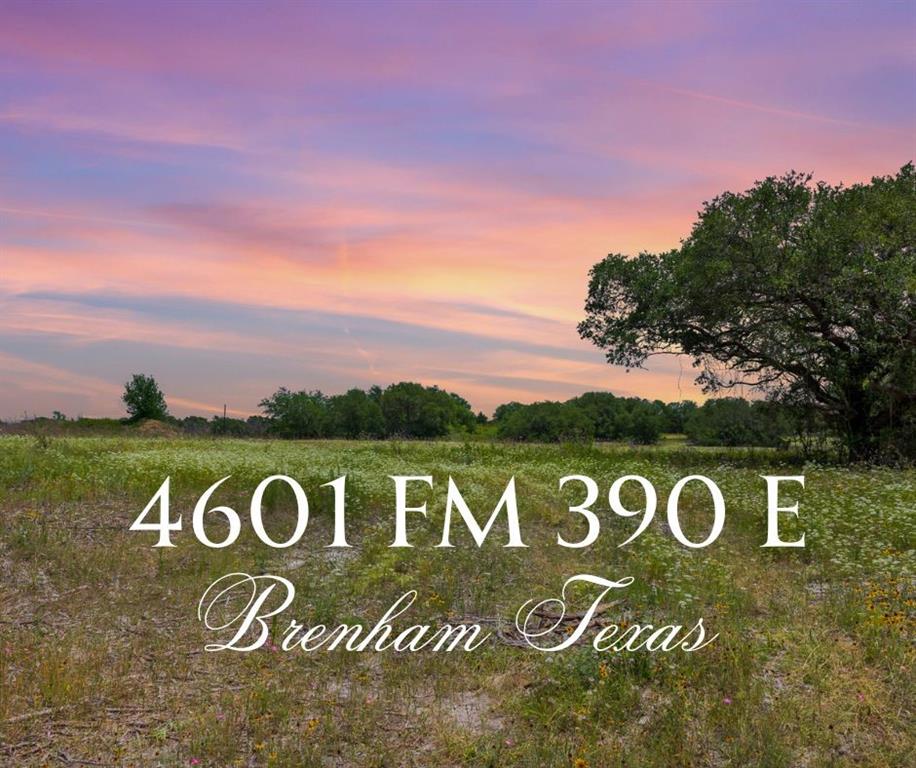 4601 Fm 390, Brenham, Texas image 1