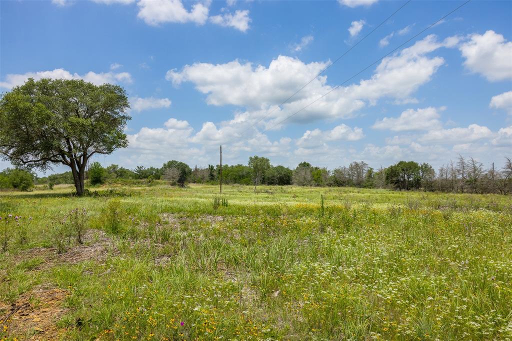 4601 Fm 390, Brenham, Texas image 9