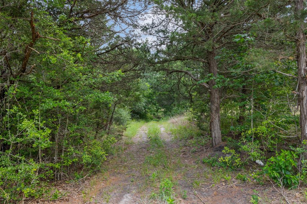 4601 Fm 390, Brenham, Texas image 11