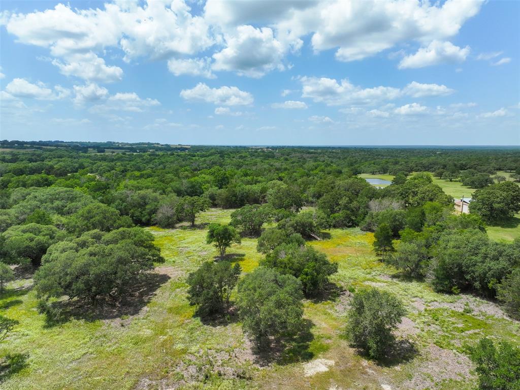 4601 Fm 390, Brenham, Texas image 2