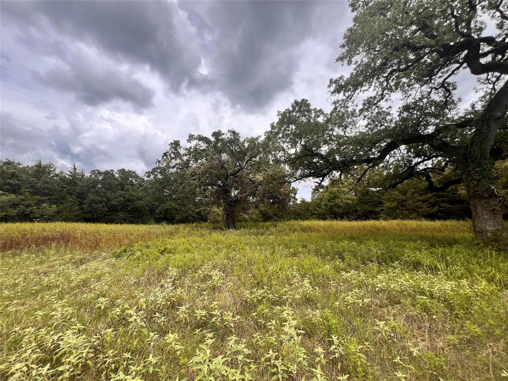 1192 County Road 762, Groesbeck, Texas image 27