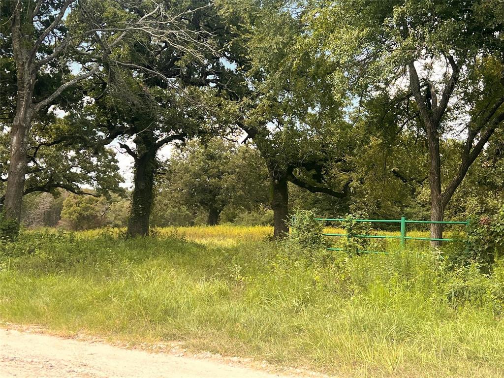 1192 County Road 762, Groesbeck, Texas image 9