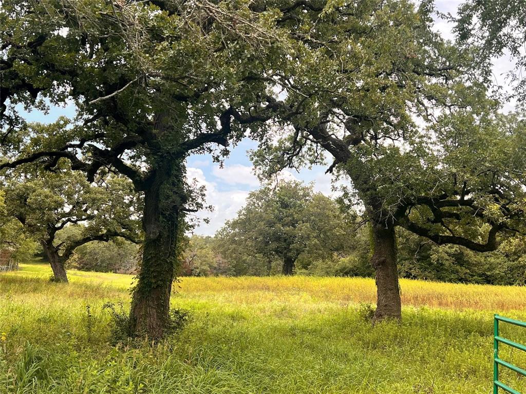 1192 County Road 762, Groesbeck, Texas image 25