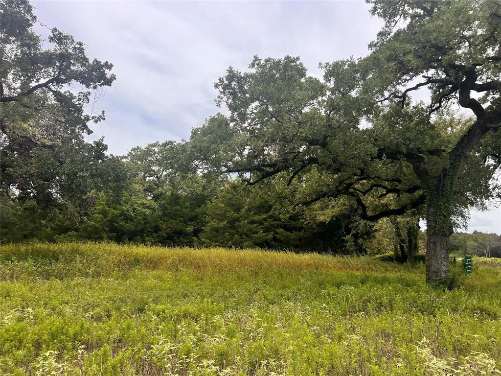 1192 County Road 762, Groesbeck, Texas image 21