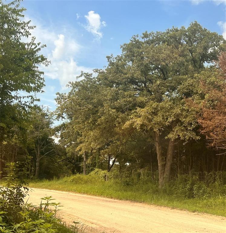 1192 County Road 762, Groesbeck, Texas image 8