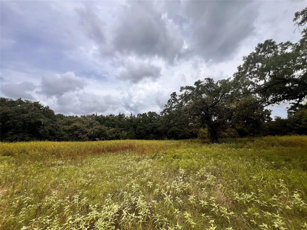 1192 County Road 762, Groesbeck, Texas image 23