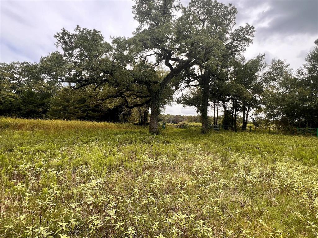 1192 County Road 762, Groesbeck, Texas image 22