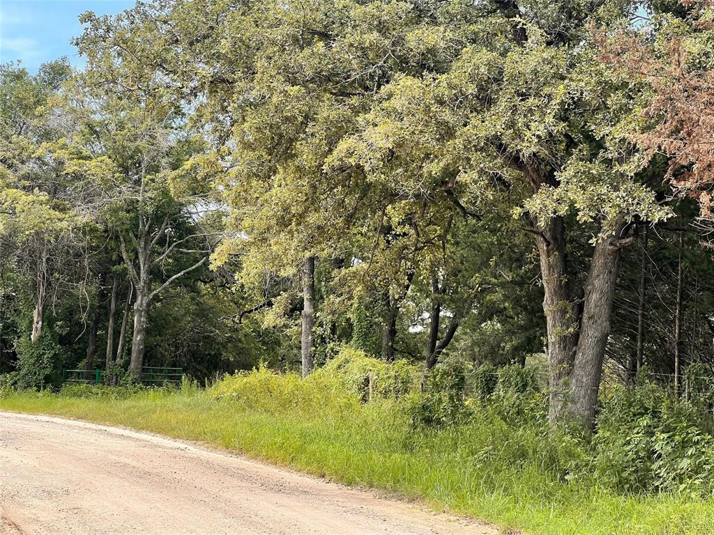 1192 County Road 762, Groesbeck, Texas image 6