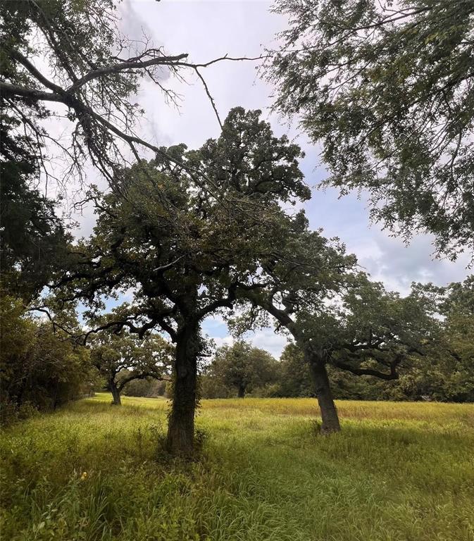 1192 County Road 762, Groesbeck, Texas image 29