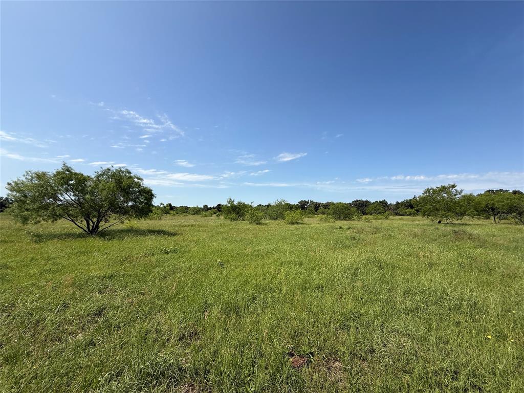 Tract 10 Fcr 611, Teague, Texas image 5