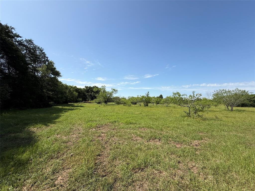 Tract 10 Fcr 611, Teague, Texas image 2
