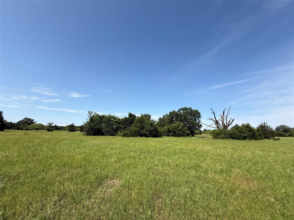 Tract 10 Fcr 611, Teague, Texas image 3