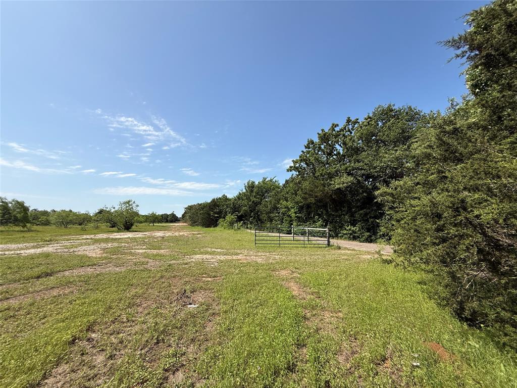 Tract 10 Fcr 611, Teague, Texas image 8