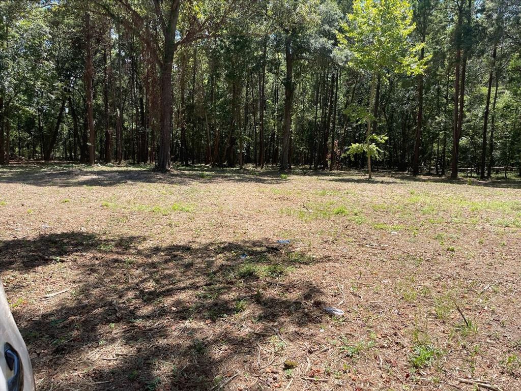 Photo of 5 River Terrace Road, Huffman, TX 77336 (MLS # 80705000)
