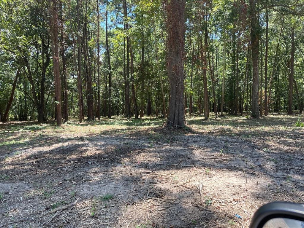 Photo of 5 River Terrace Road, Huffman, TX 77336 (MLS # 80705000)