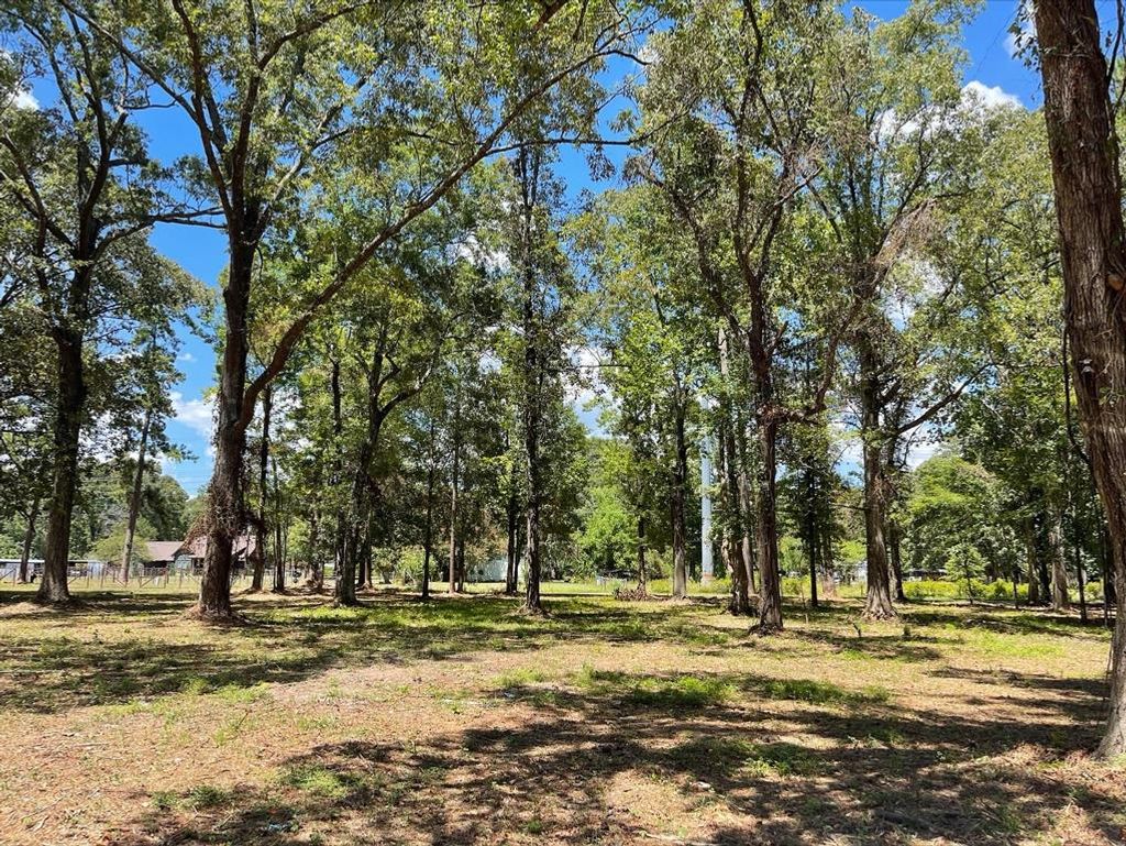 Photo of 5 River Terrace Road, Huffman, TX 77336 (MLS # 80705000)
