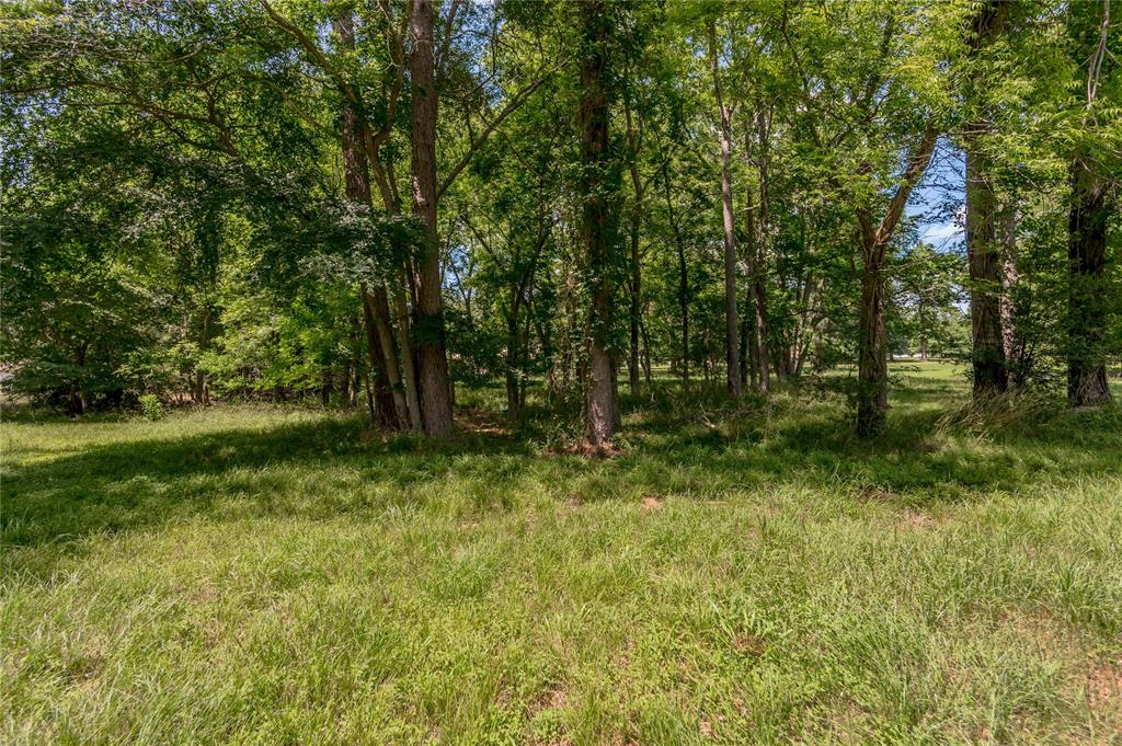 Lot 5 San Soucie Way, Trinity, Texas image 9