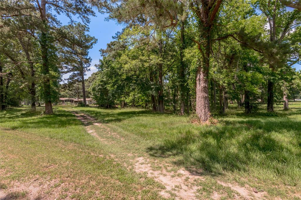 Lot 5 San Soucie Way, Trinity, Texas image 8