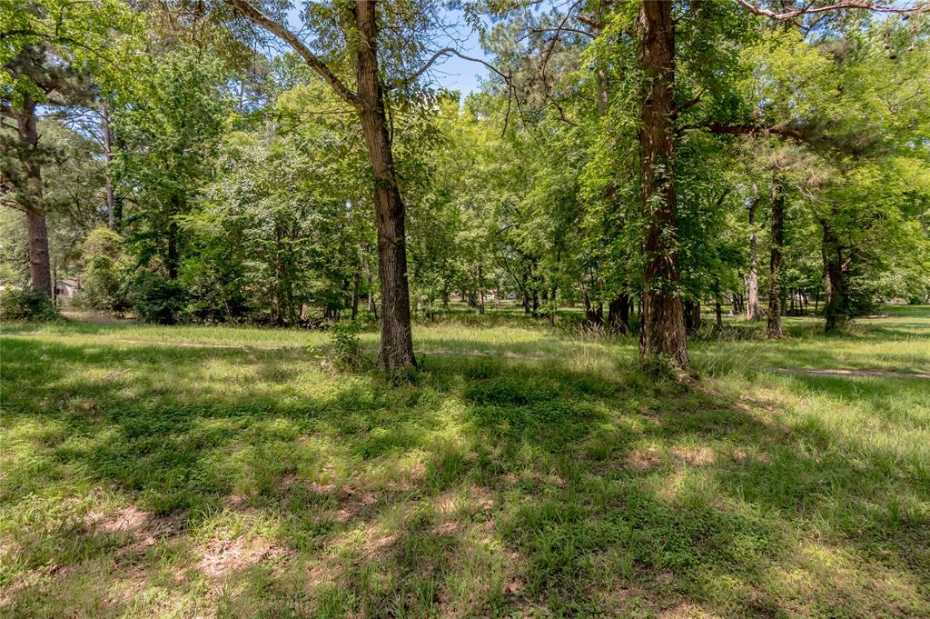 Lot 5 San Soucie Way, Trinity, Texas image 12