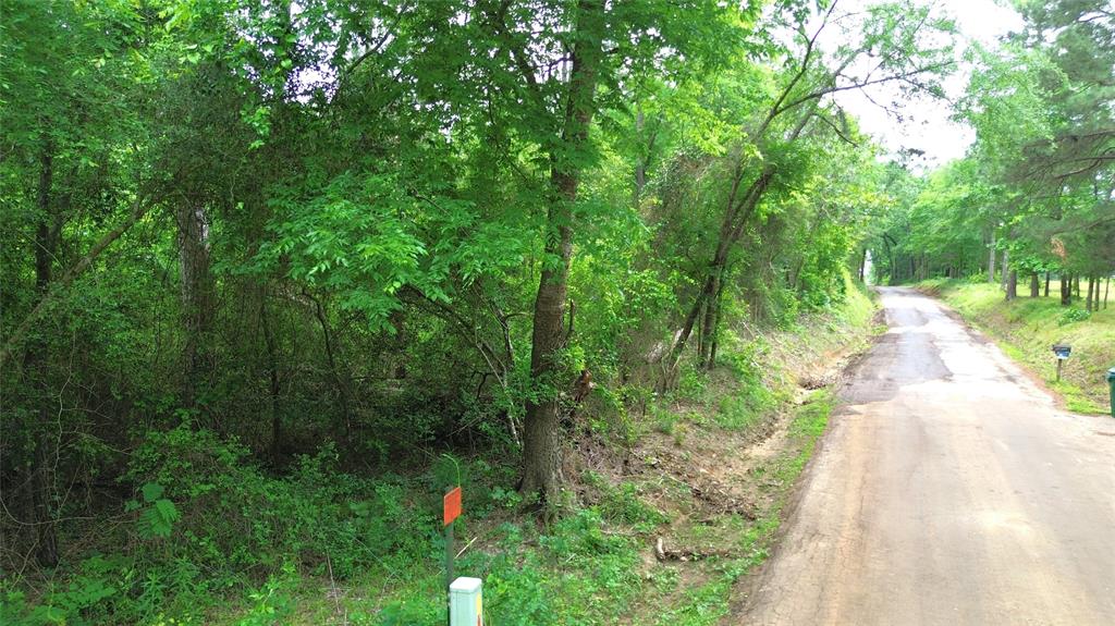 TBD Acr 182, Elkhart, Texas image 7