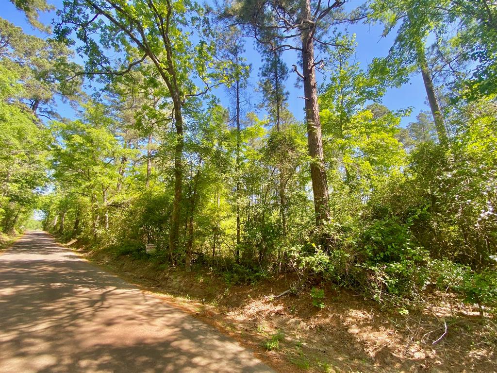 TBD Acr 182, Elkhart, Texas image 18