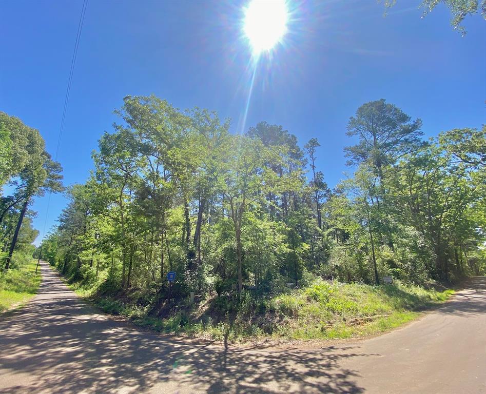 TBD Acr 182, Elkhart, Texas image 6