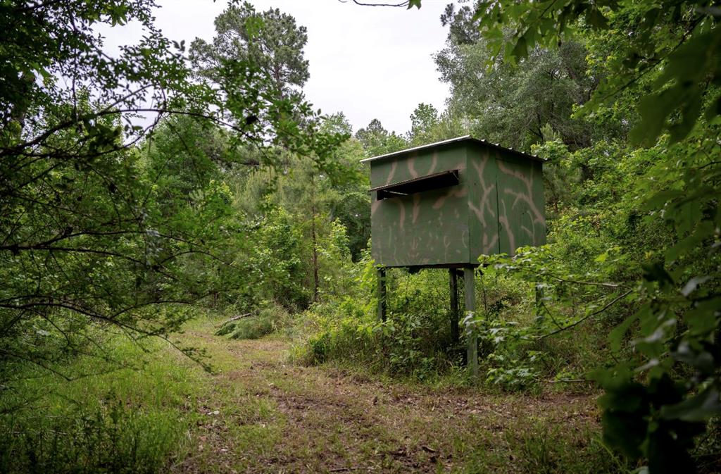 429 County Road 1130, Crockett, Texas image 22