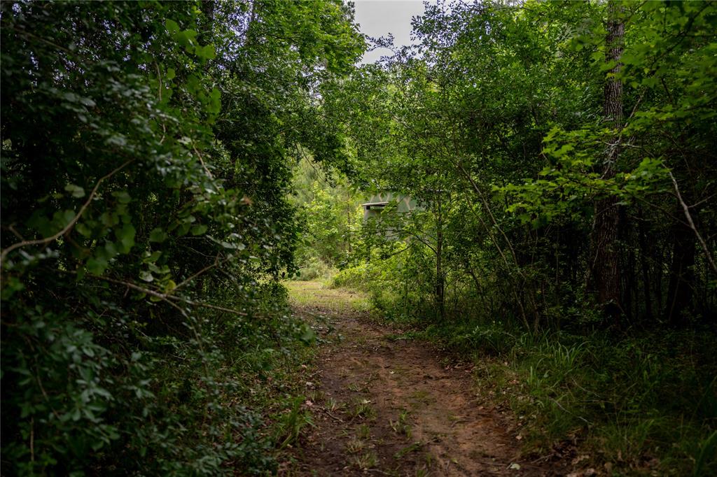 429 County Road 1130, Crockett, Texas image 21
