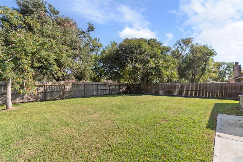 17 Lobo Court, Angleton, Texas image 19