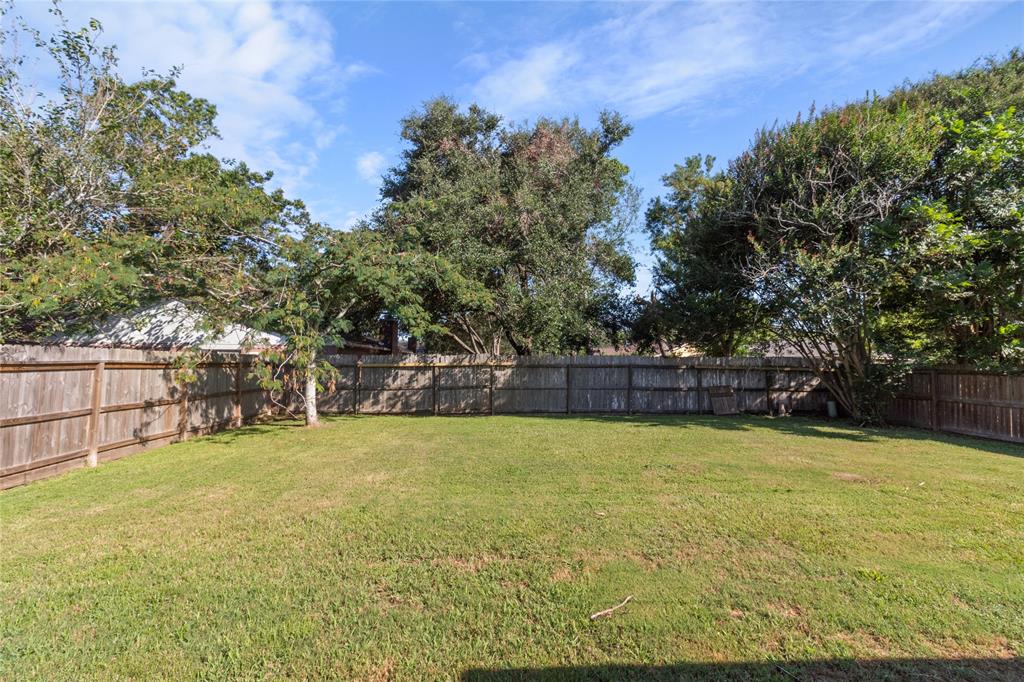 17 Lobo Court, Angleton, Texas image 18