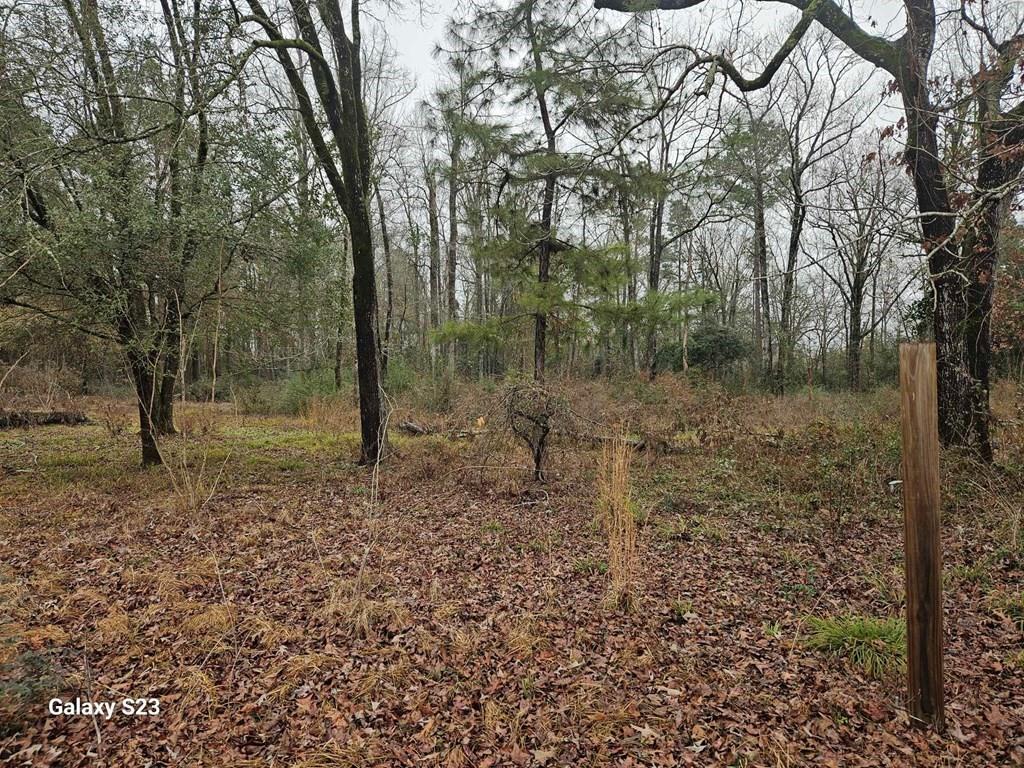 148 Lancewood Circle, Lufkin, Texas image 8