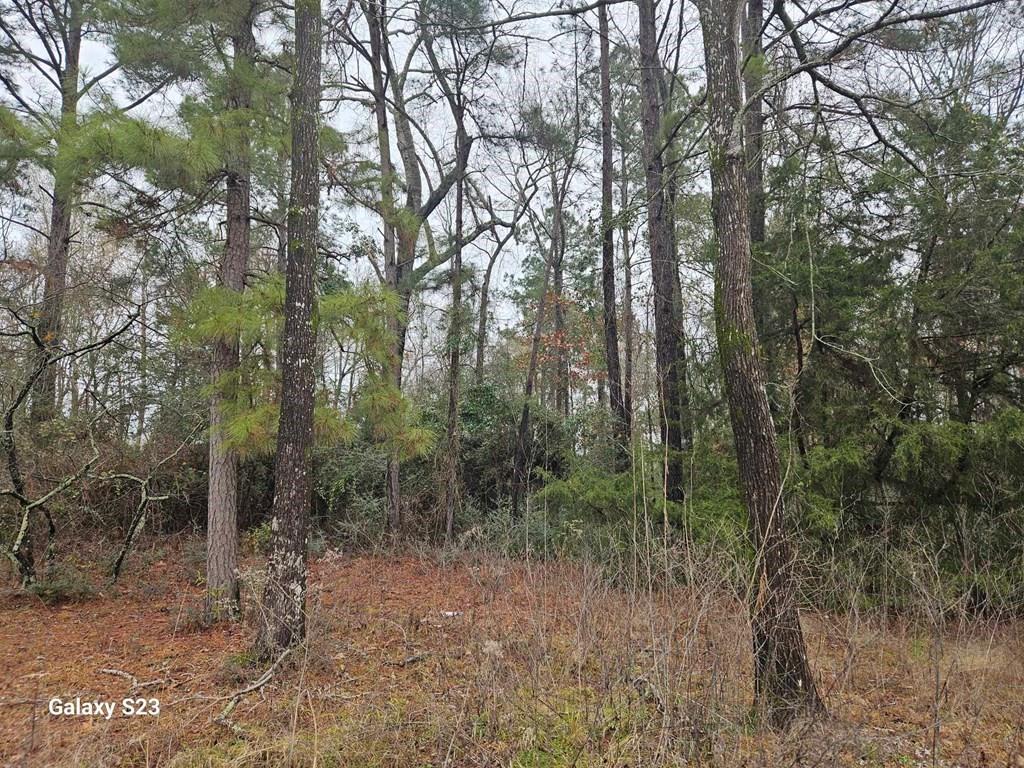 148 Lancewood Circle, Lufkin, Texas image 16