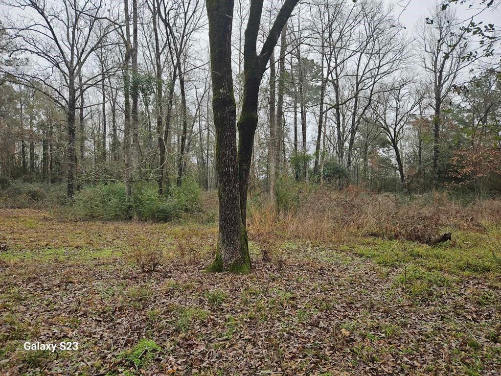148 Lancewood Circle, Lufkin, Texas image 12