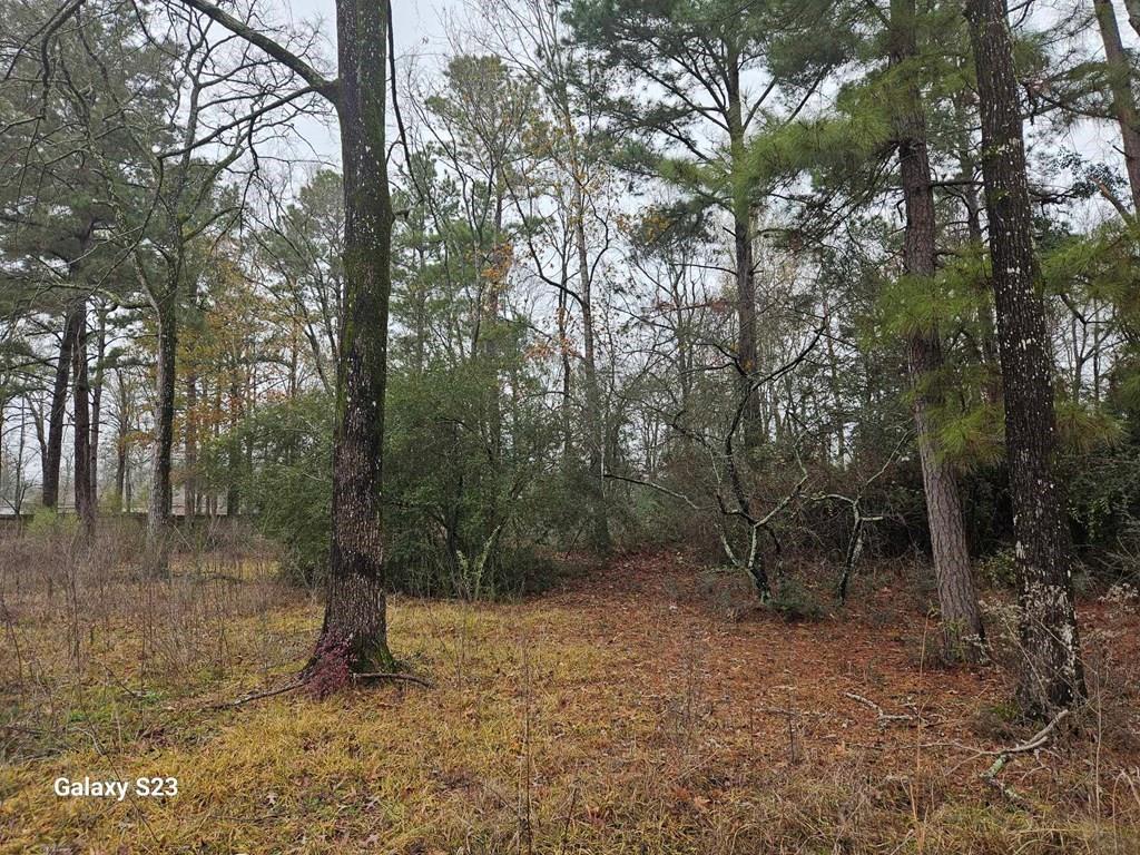 148 Lancewood Circle, Lufkin, Texas image 5